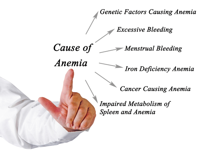 Causes of anaemia