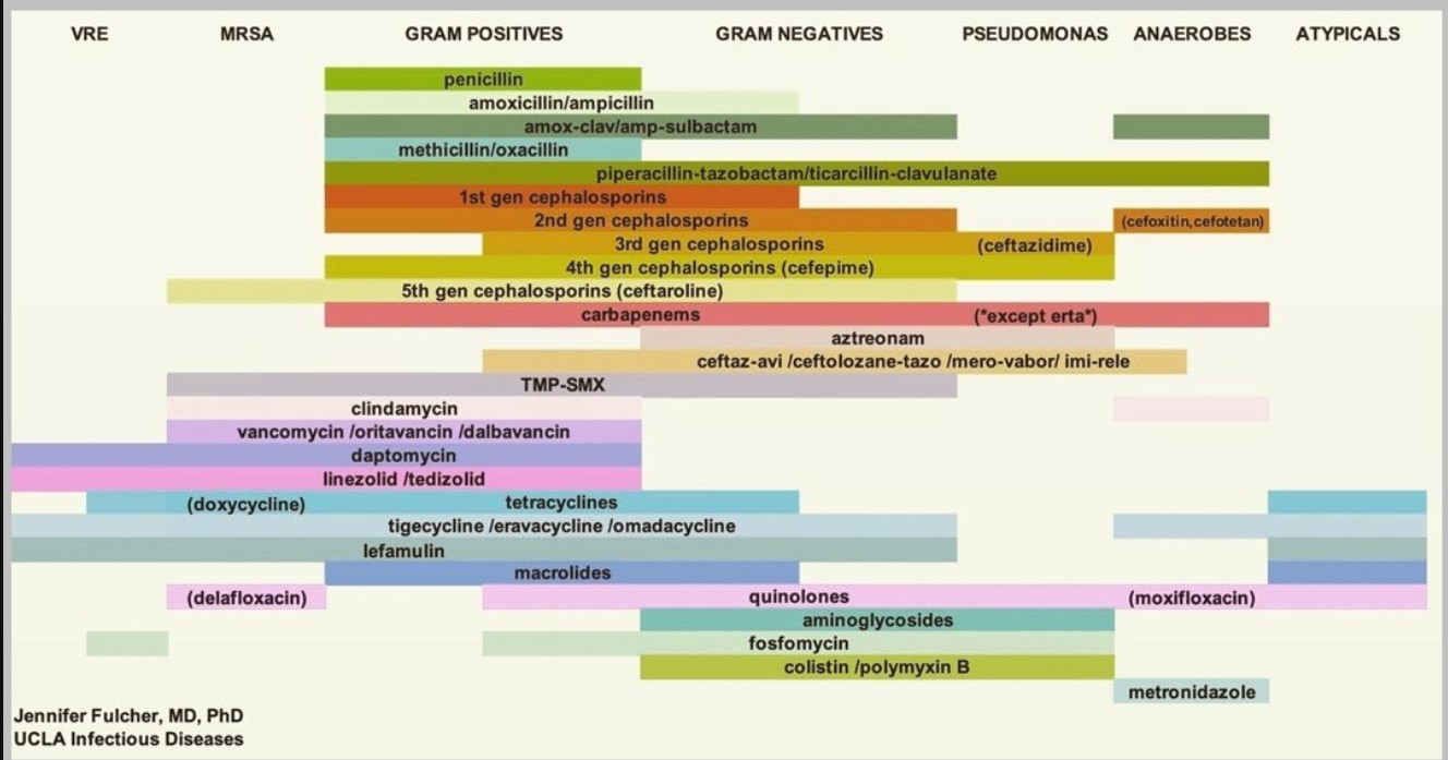 Antibiotic cheat sheet