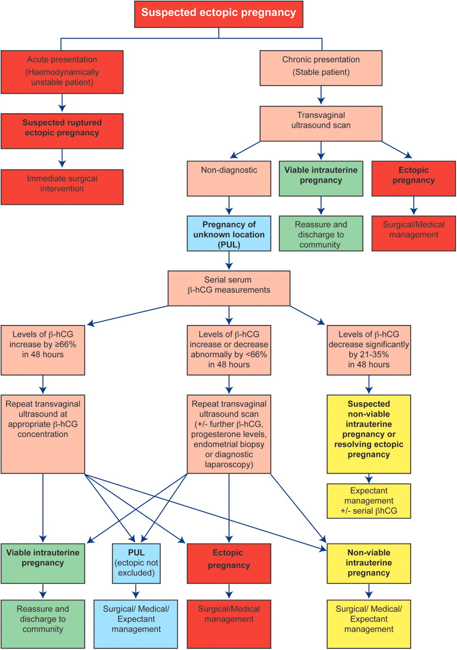 Ectopic Pregnancy Algorithm