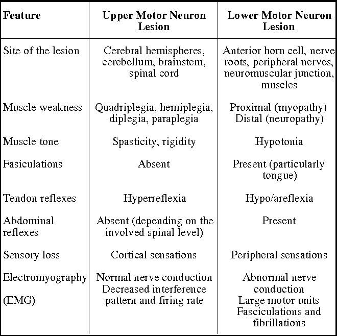 Upper vs lower motor neuron lesions